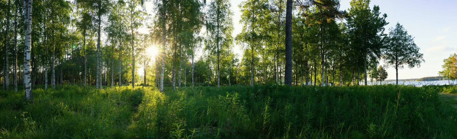 Mekanisk frånluft Örebro